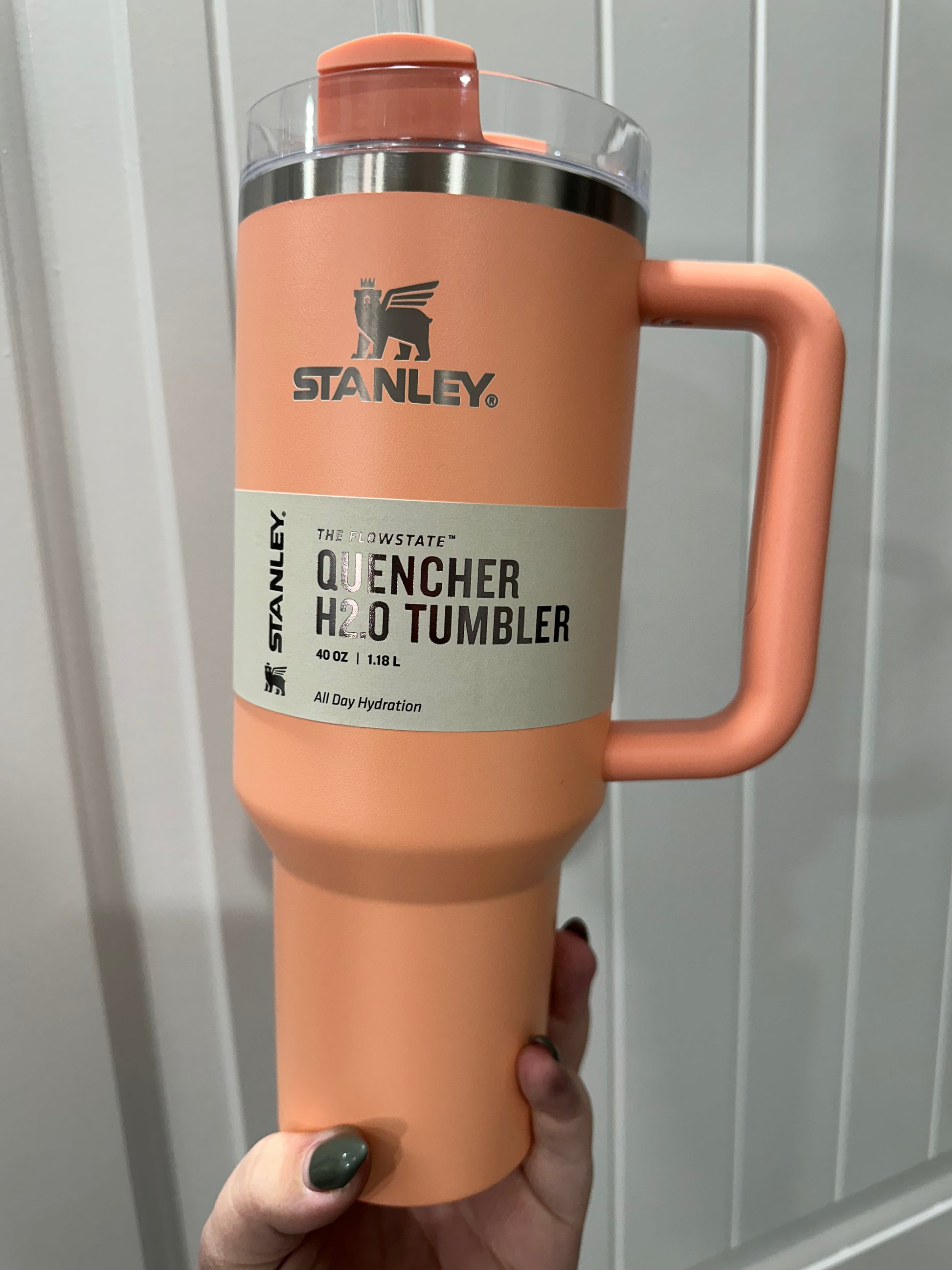 Stanley 30 oz. Quencher H2.0 FlowState Tumbler, Alpine Green
